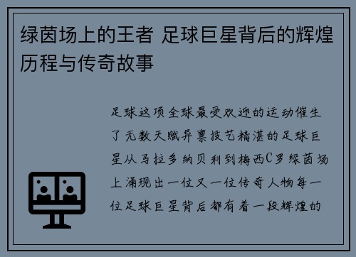 绿茵场上的王者 足球巨星背后的辉煌历程与传奇故事